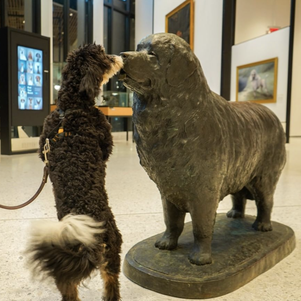 American Kennel Club Museum of the Dog